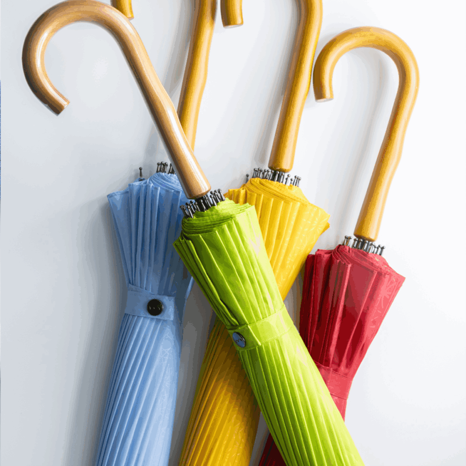 超軽量24本骨傘 「江戸」 : 知ろう遊ぼう 国民公園